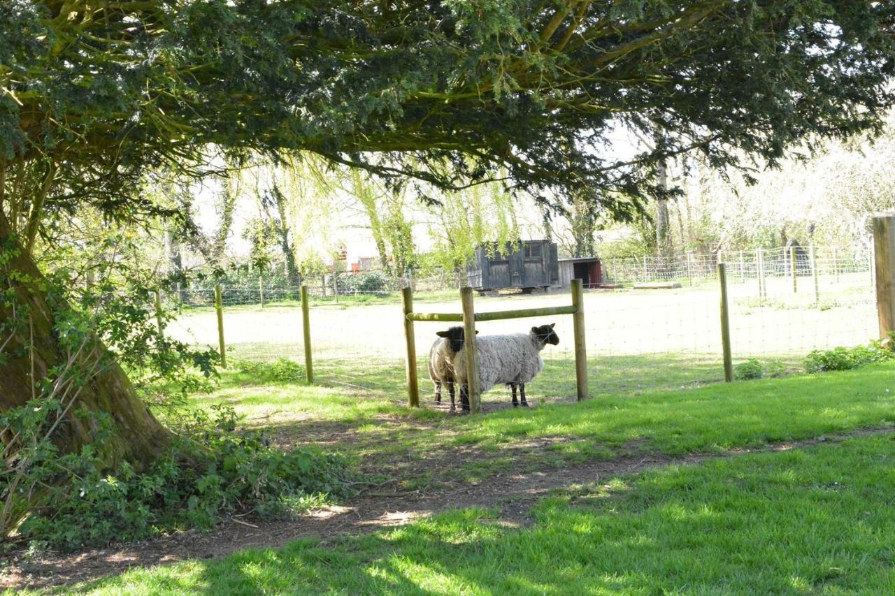 Yew Tree Farm Barn, Worlingworth Villa Ngoại thất bức ảnh